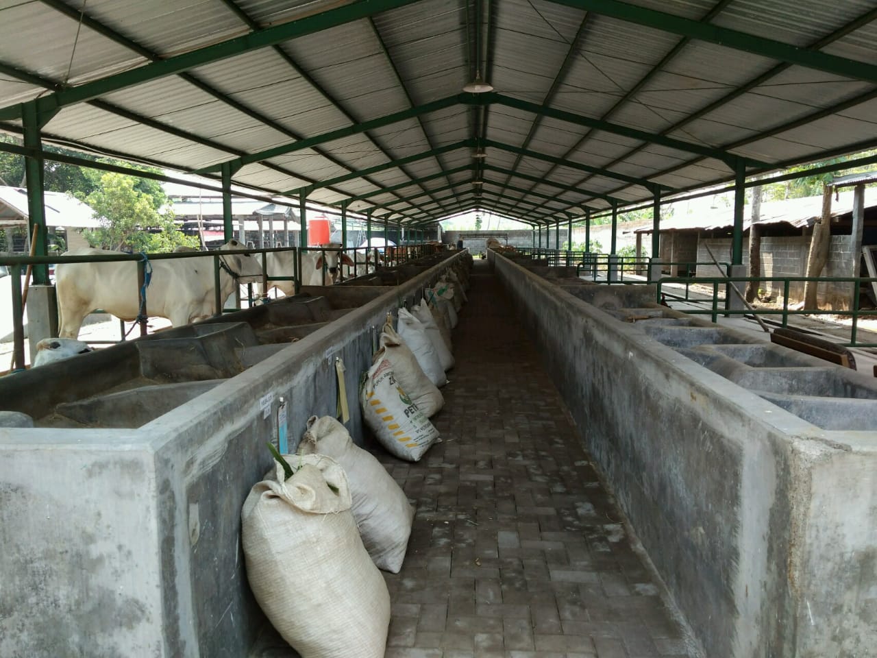 project img
