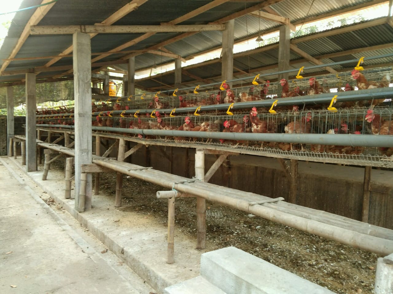 project img