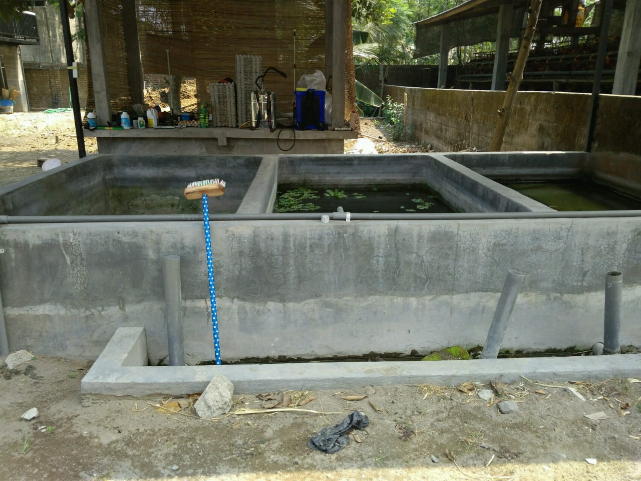 project img