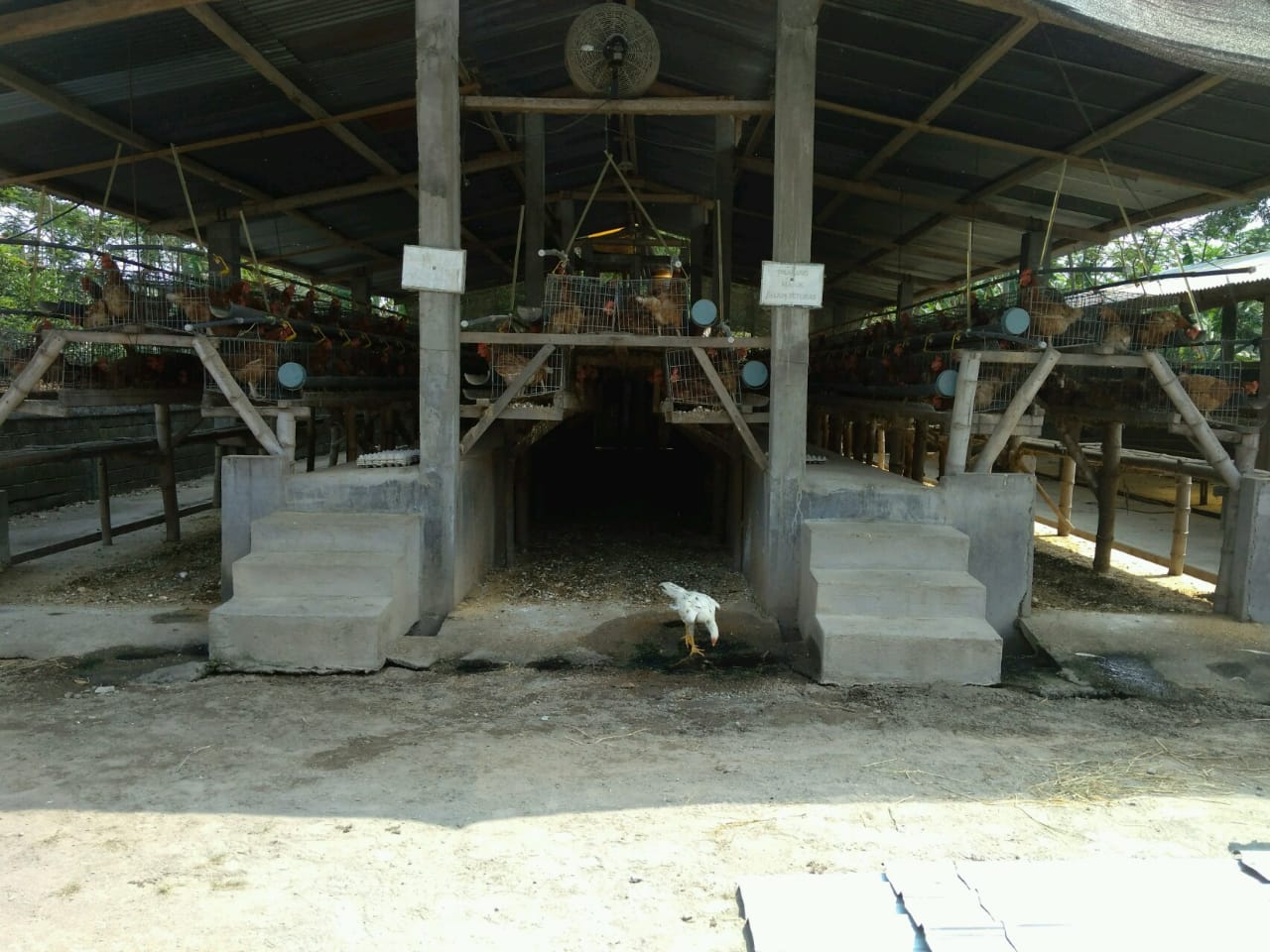 project img